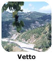 Vetto